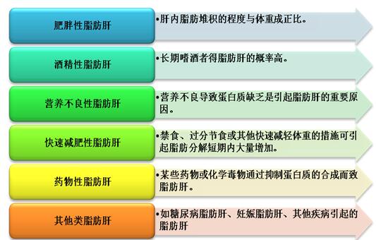 职场人易轻视的疾病！凯发k8登录脂肪肝